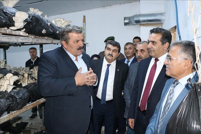 Kayseri istiridye mantarının üretim merkezi olacak 