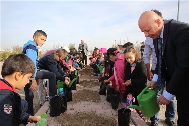 Çolakbayrakdar, öğrencilerle birlikte palamut tohumu ekti 