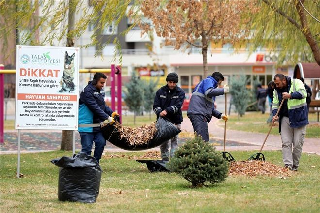 Talas Belediyesi ekipleri kuru yaprakları gübreye dönüştürüyor 