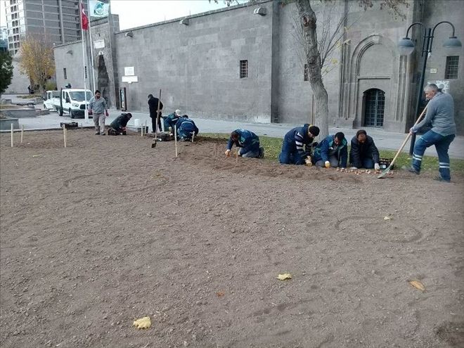 Kayseri´de yaşayan nüfus kadar bitki soğanının dikimi yapılıyor 