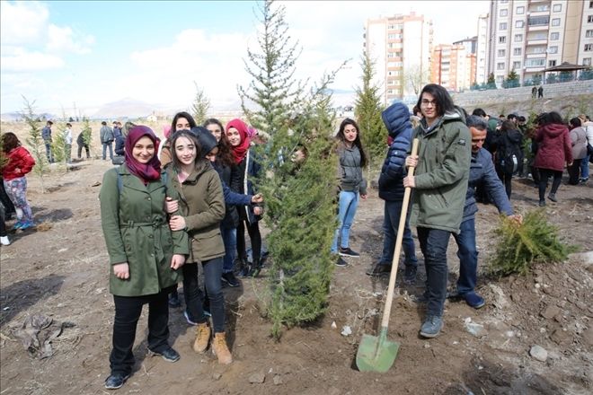 Tınaztepe Mahallesi yeşile bürünüyor