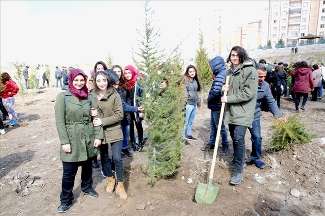 Melikgazi´de 10bin 500 çam fidanı toprakla buluştu