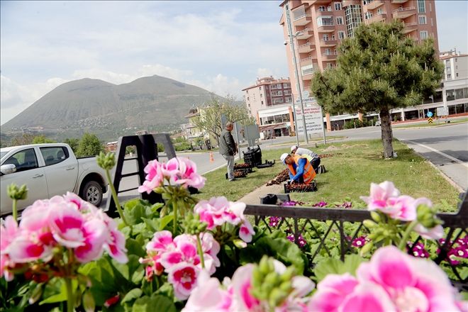 Talas Belediyesi ilçeye 50 bin adet çiçek dikiyor