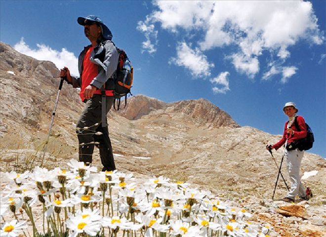 Foto-Safari başlıyor