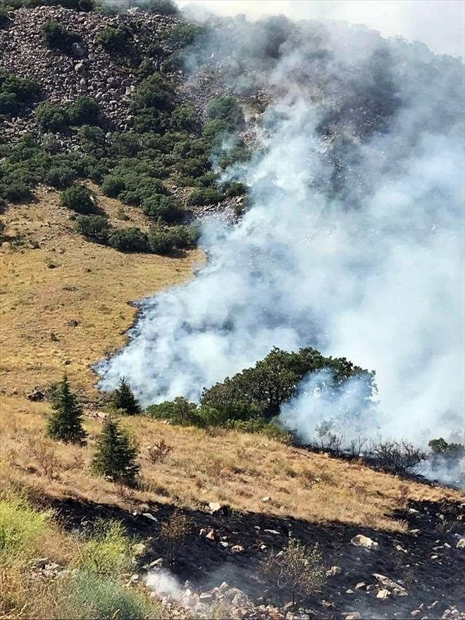 Ali Dağı´ndaki yangına Orman Bölge Müdürlüğü 49 personel ile müdahale etti