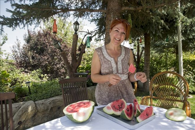 Karaburun´un nesli tükenen karpuzu Kayseri´de hayata dönüyor