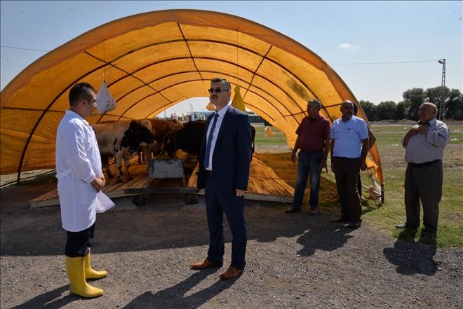 Tarım İl Müdürlüğü Hayvan Pazarında denetim yaptı 