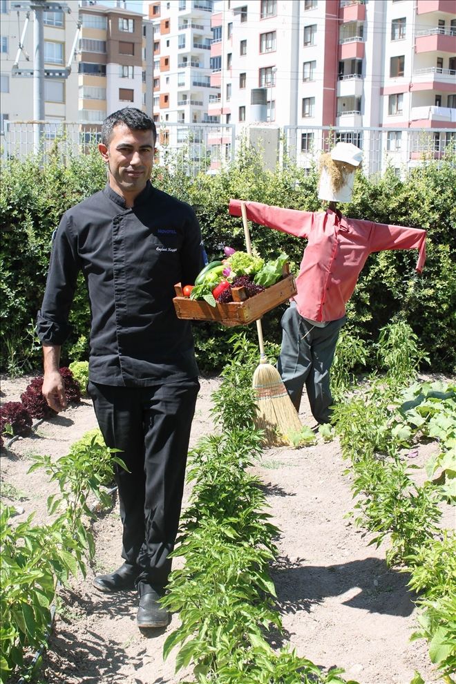 Novotel misafirlerine organik bahçe hizmeti sunuyor