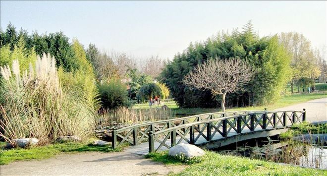 Melikgazi Belediyesi´nden botanik park 