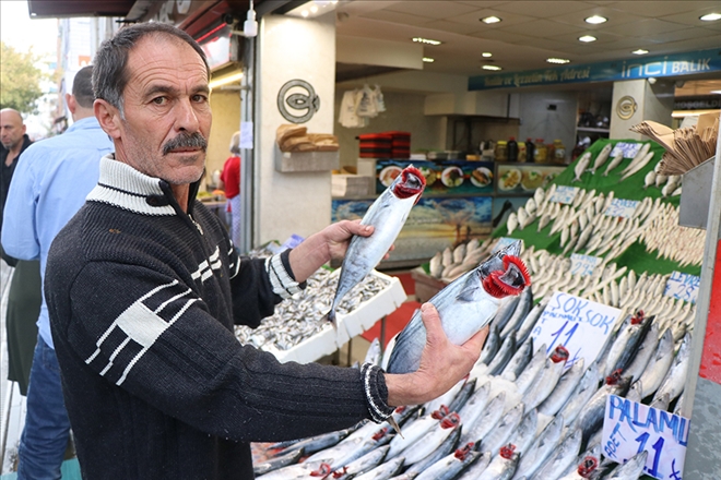 Balıkçılarda ?Palamut´ yoğunluğu 