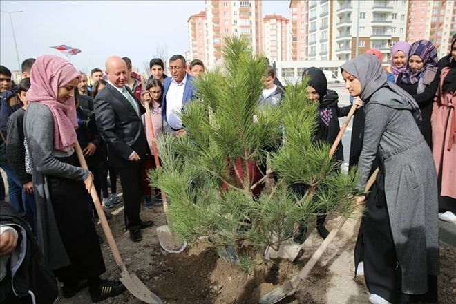 ?Hedefimiz; 2018 yılında 120 bin ağaç dikmektir? 