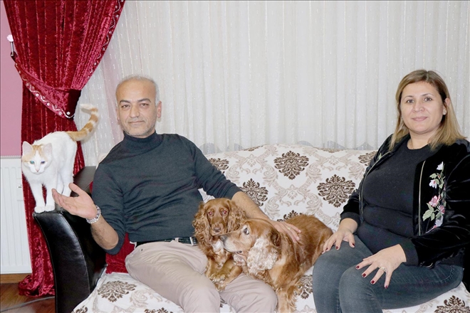 Kedi ve köpeklerin dostluğu görenleri şaşırtıyor 