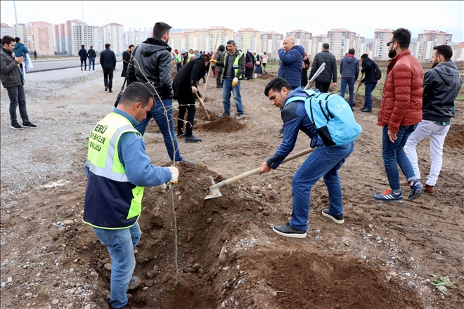 Öğrenciler Afrin ve El Bab şehitleri için ağaç dikti 