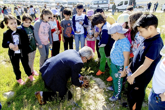 Büyükşehir Kayseri´yi yeşillendiriyor 