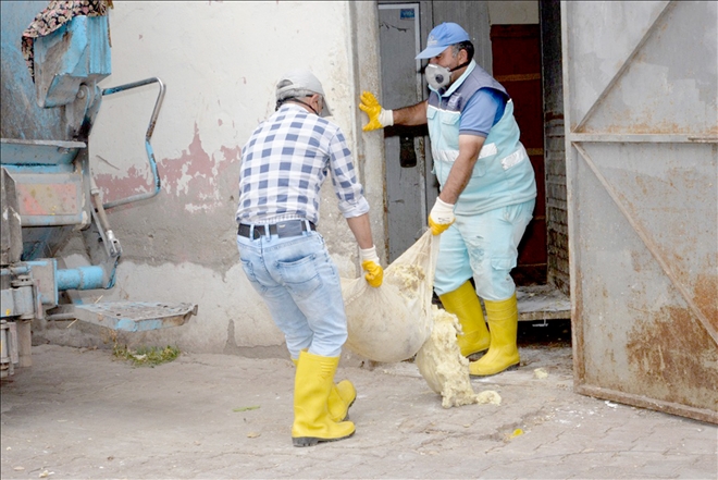 Sağlıksız 10 ton peynir imha edildi 