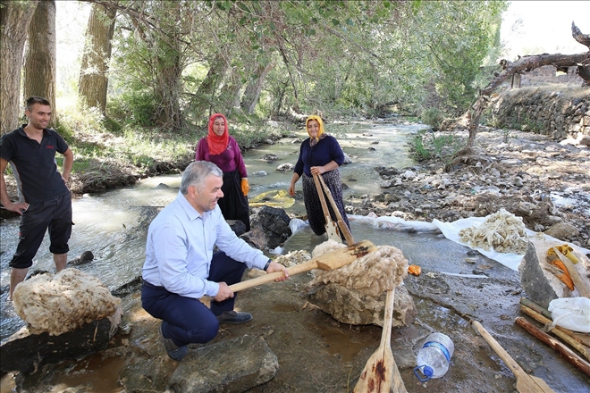 Başkan Çelik yün tokaçladı 