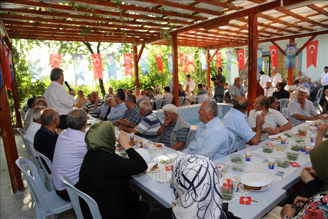 Talas´ın çınarları Akçakaya Mahallesinde 