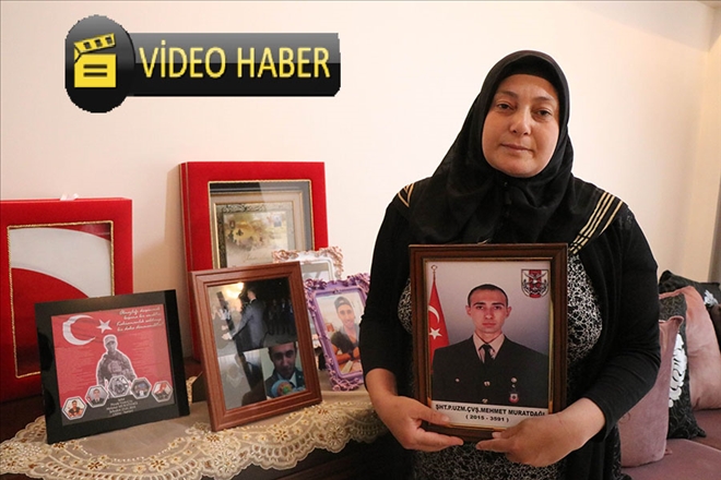 Afrin şehidinin annesi: ?Devlet teröristleri beslemesin, idam etsin? 