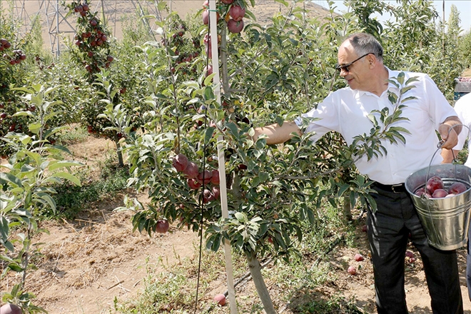 Başkan Öztürk: ?Yahyalı´da elma üretimi modernleşmeli?