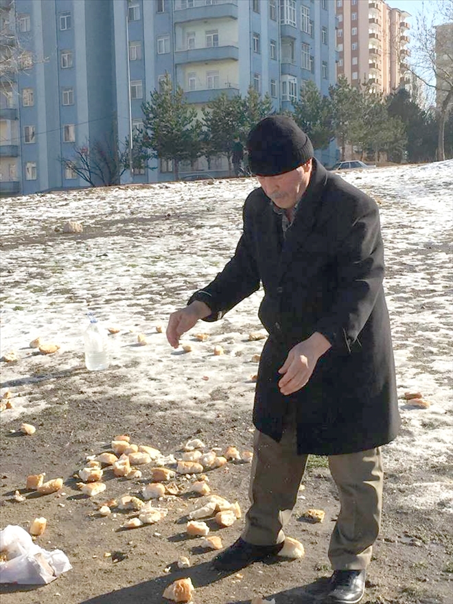 13 senedir sokak hayvanları için bayat ekmek topluyor 