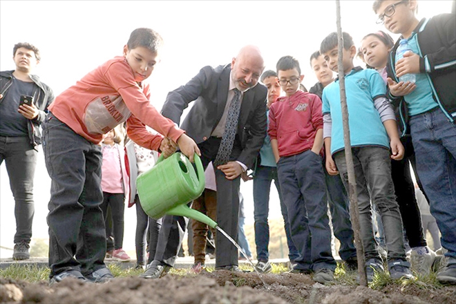 Kocasinan´da herkesin dikili bir ağacı olacak 