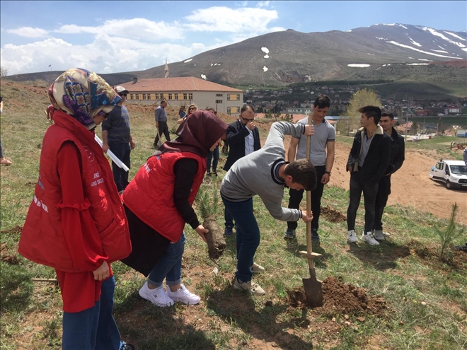 Genç Gönüllüler Şehitler Anısına Fidan Dikti 