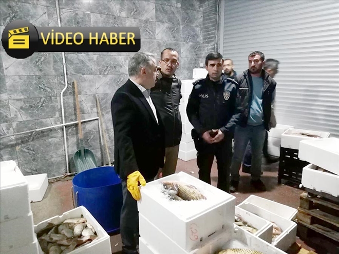 Kaçak ve sağlıksız depolanan 15 ton balık imha edildi 