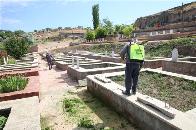 ? 52 mezarlıkta temizlik ve bakım çalışması devam ediyor? 