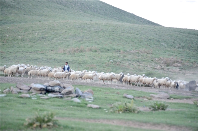 Erciyes Dağı´nda zorlu yayla hayatı başladı 