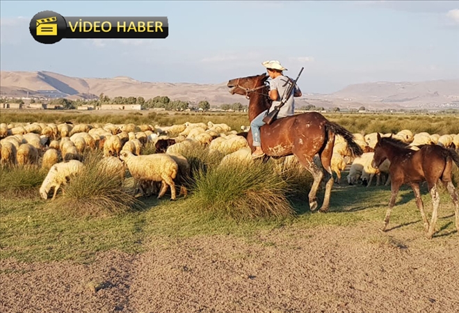 Orta Asya´nın bozkırları değil, Erciyes Dağı´nın etekleri 