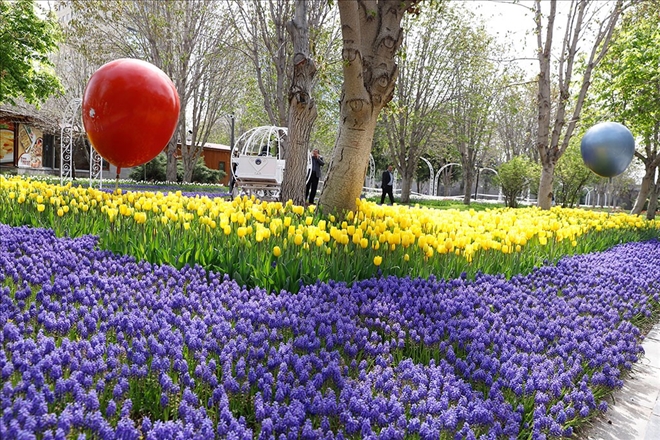 Büyükşehir Belediyesi, 1 milyon 910 bin 786 adet çiçek dikti 