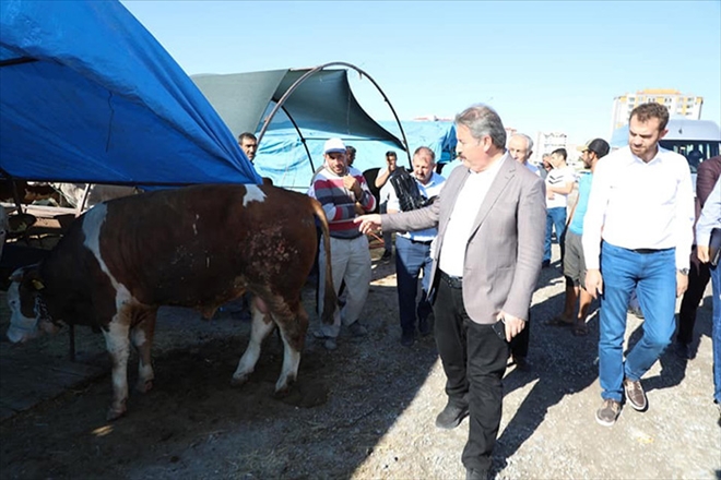 Başkan Palancıoğlu Kurban Pazarı´nda 