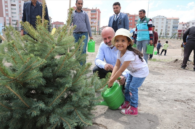 DAHA YEŞİL KOCASİNAN İÇİN PARKLARA SONBAHAR BAKIMI