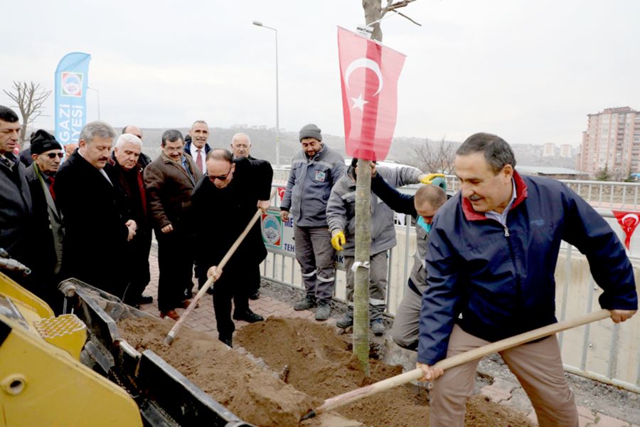 Başkan Dr. Mustafa Palancıoğlu  “MELİKGAZİ MUHTARLARINA ÖZEL  AĞAÇLANDIRMA ALANI”