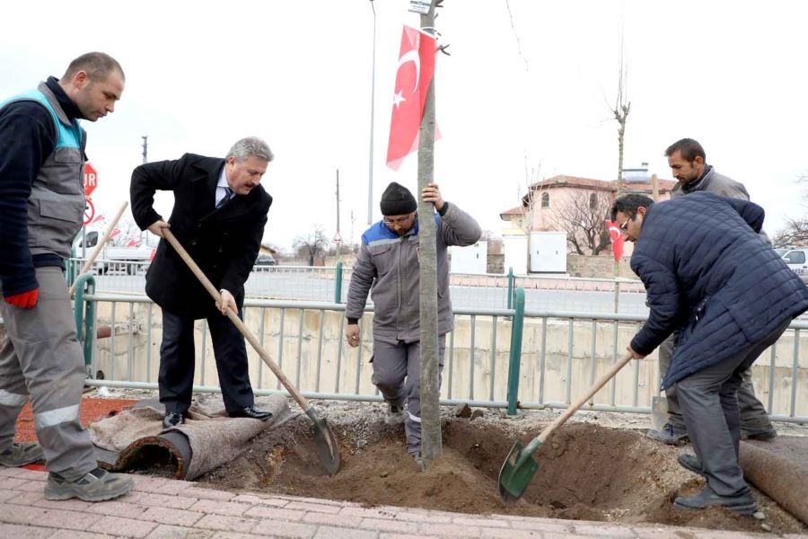 Melikgazi’de 2020 yılı ağaçlandırma ve yeşillendirme yılı olacak