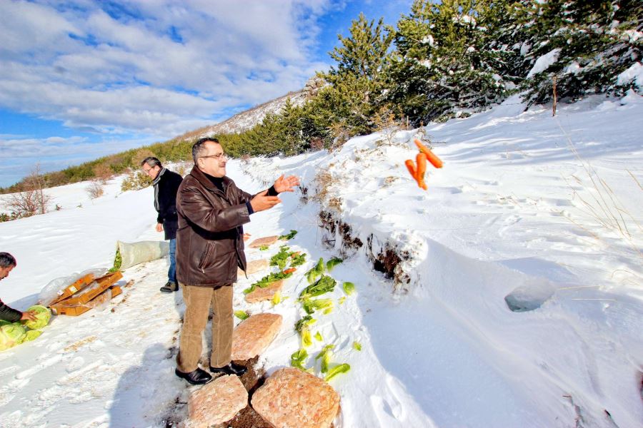 Sokak hayvanları için doğaya yem bırakıldı 