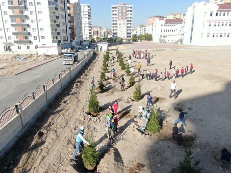 Kocasinan Belediyesi, ağaç dikimiyle geleceğe nefes oluyor
