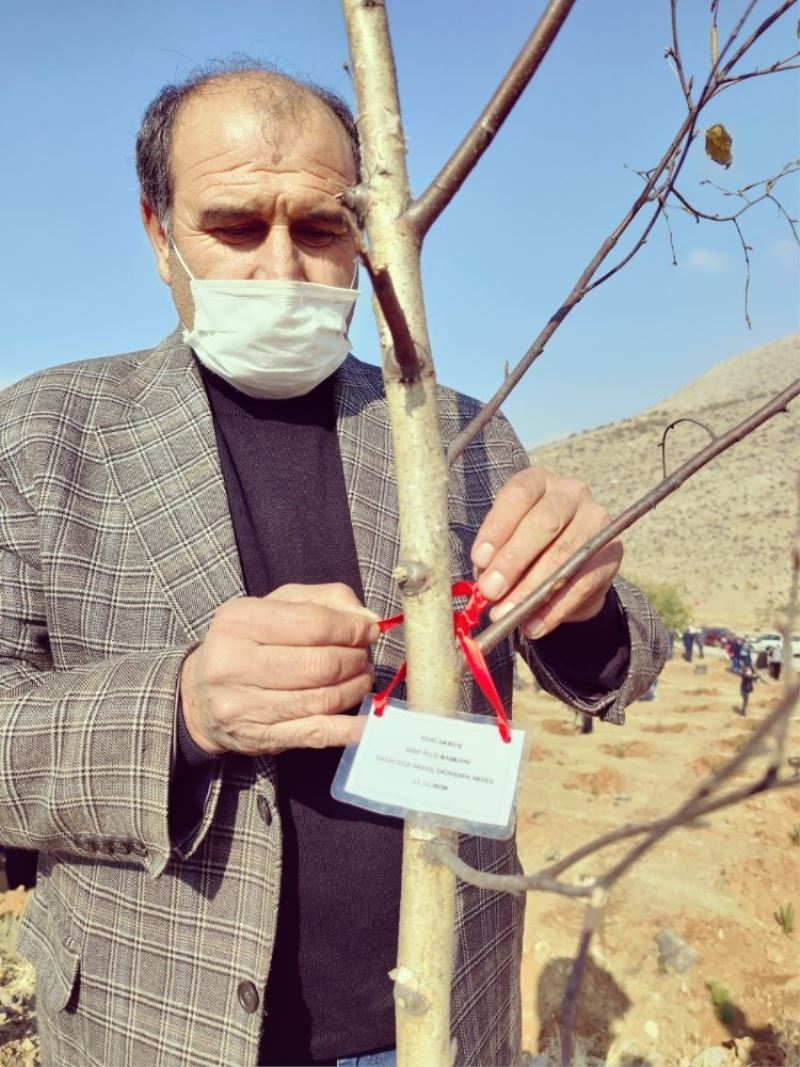 MHP Yahyalı ilçe teşkilatından ağaçlandırmaya destek
