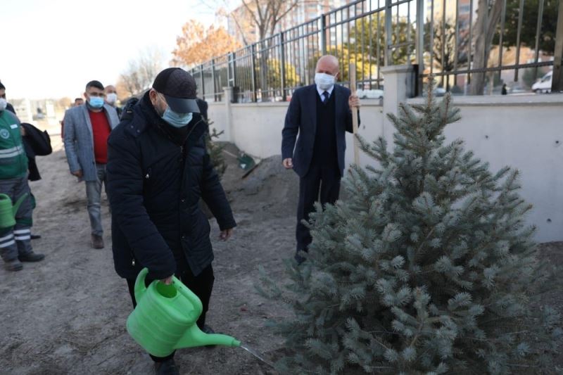 Başkan Çolakbayrakdar, öğretmenlerle birlikte ağaç dikti
