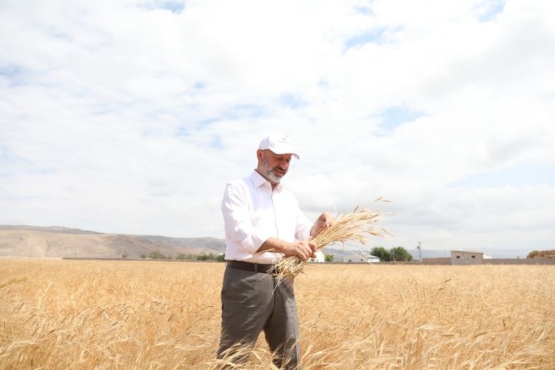 Toprak ve çiftçi dostu Başkan Çolakbayrakdar’ın milli ve yerli tohum hamlesi takdir topladı
