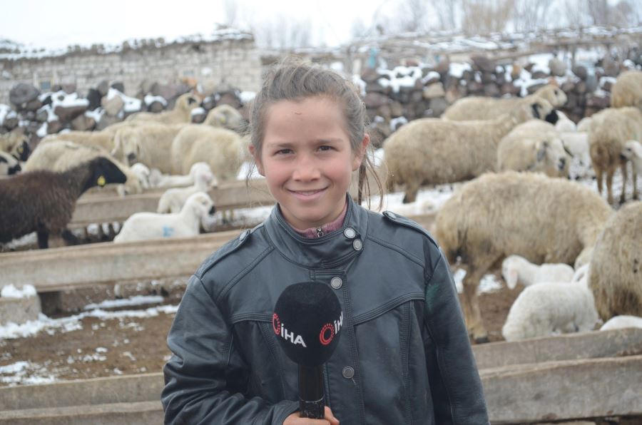 11 yaşındaki Kardelen, korona virüs tatilinde çobanlık yapıyor