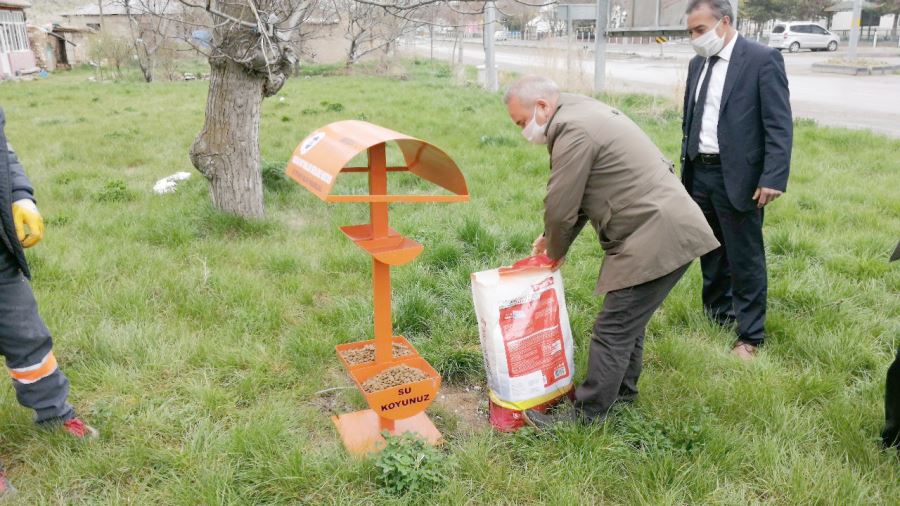 Tarım İl Müdürlüğü sokak hayvanlarını unutmadı