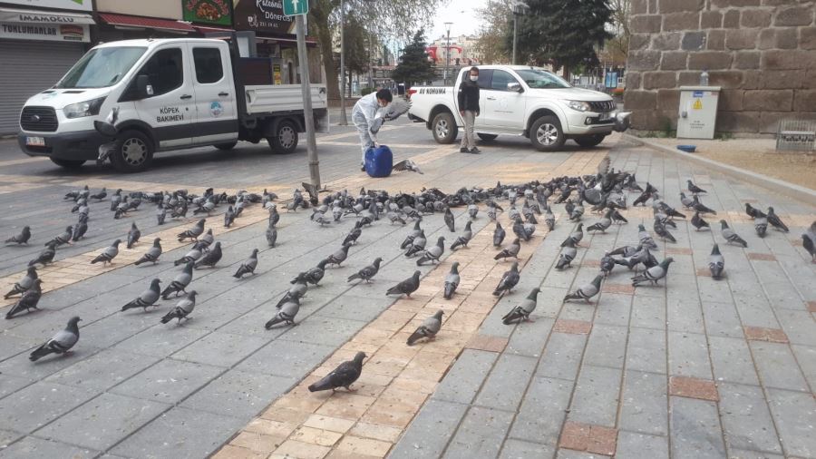 Doğa Koruma ve Milli Parklar Müdürlüğü hayvanları unutmadı