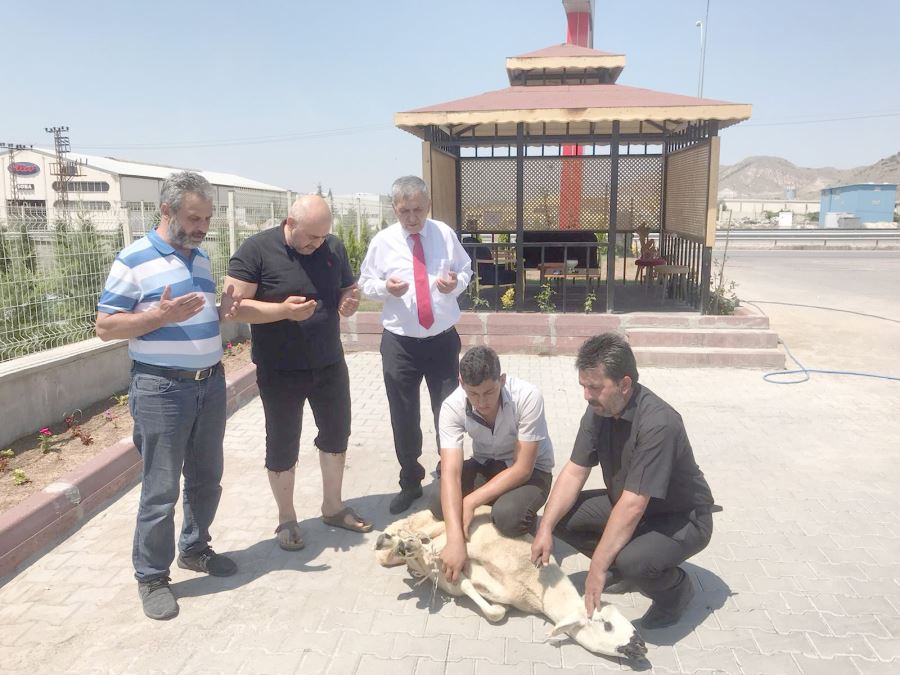 Kayseri’de Ayasofya için kurban kesildi