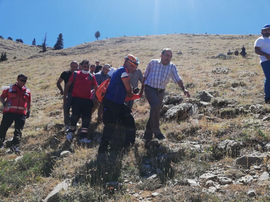 Çay toplarken dağda mahsur kalan şahsı ekipler 4 saat boyunca sedyede taşıdı