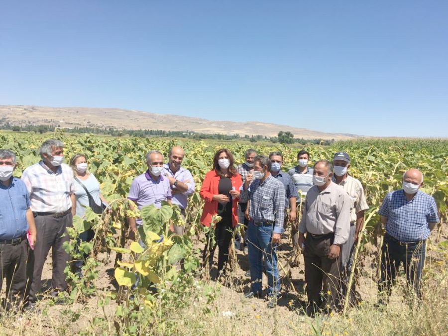 Ümit Özer ,Çiftçiler tüm zorluklara rağmen üretmek için çaba sarf ediyor