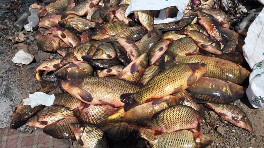 Yasak malzemelerle balık avlayan 27 kişi hakkında işlem yapıldı