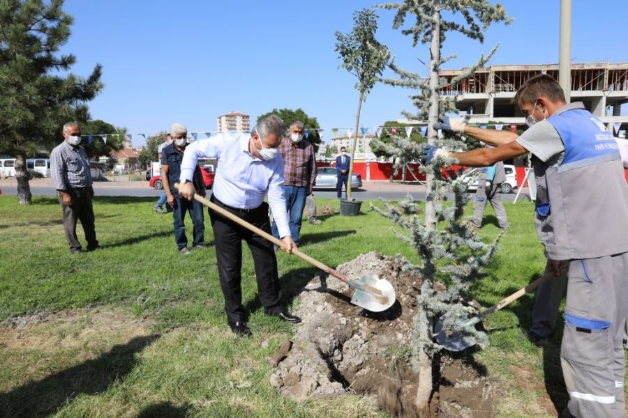 Başkan Dr. Mustafa Palancıoğlu“fidan değil, ağaç dikiyoruz”