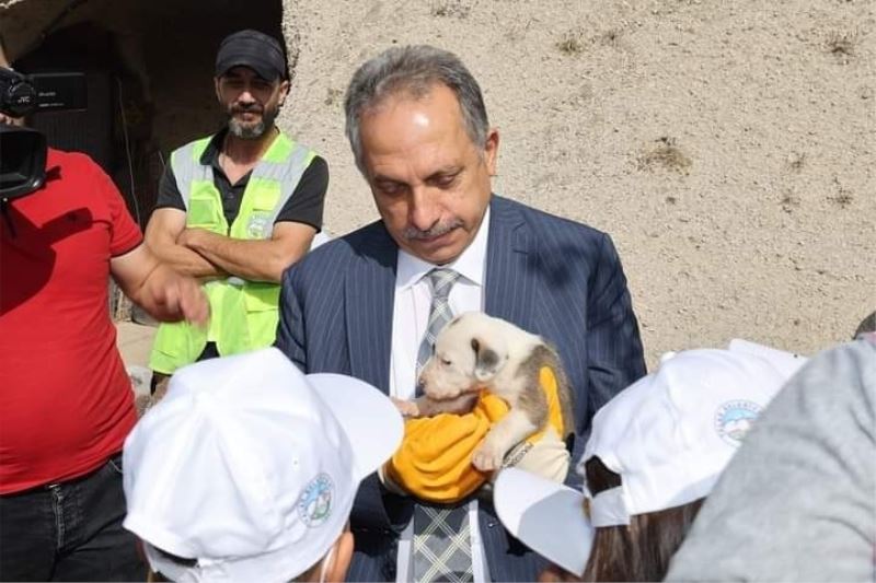 Hayvanları Koruma Günü’nde ‘hayvan mezarlığı’ müjdesi
