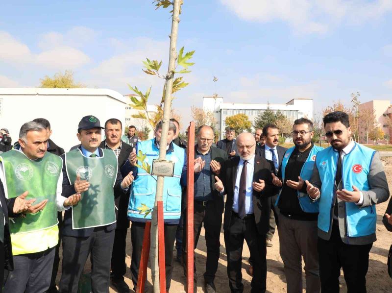KAYÜ Develi Seyrani Kampüsünde Ağaçlandırma Çalışması Yapıldı
